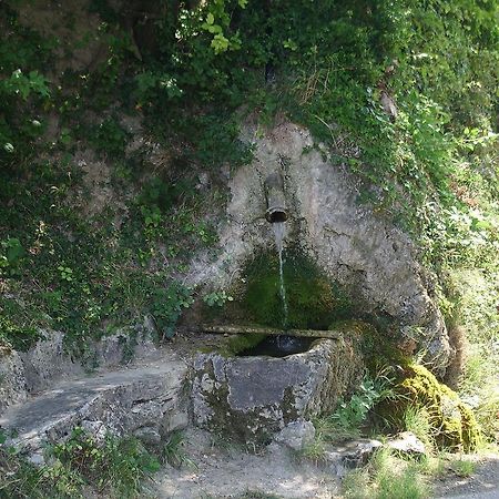 Le Mas Fa Sua Bed and Breakfast Malataverne Zewnętrze zdjęcie
